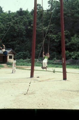 Korean Traditional Swing.