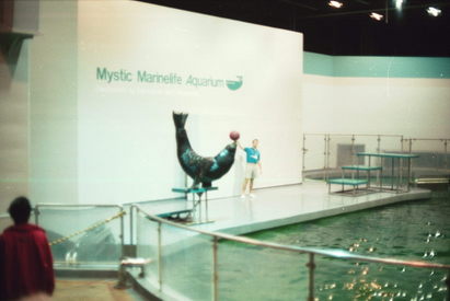 Mystic Aquarium.
