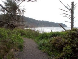 Cape Lookout, OR.