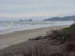 Cape Lookout, OR, Three Arch Rocks.