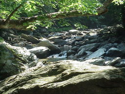 Bash Bish Falls Trail.