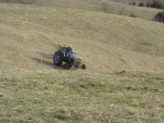 Spreading clover seed.
