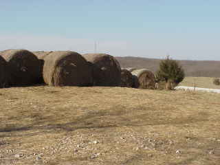 Bales of hay.