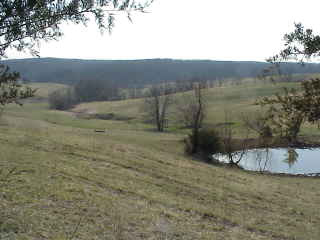 Front yard.