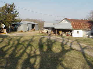 View behind the house.