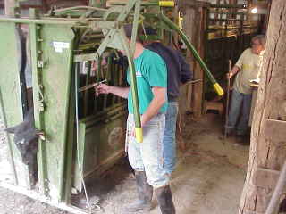 Vet, assistant, and Bev on levers.