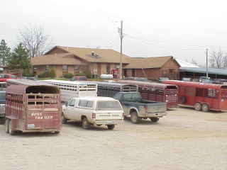 New Cambria Livestock Auction.