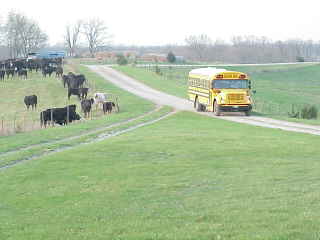 Nate's bus on driveway.