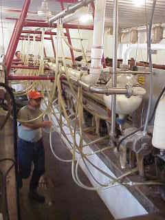 Milking Machinery.