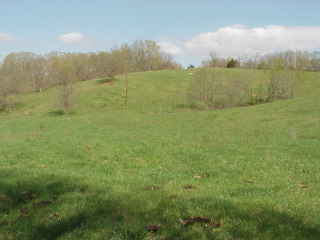 Hill before mowing.