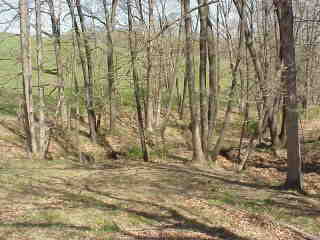 Ditch at bottom of pasture.