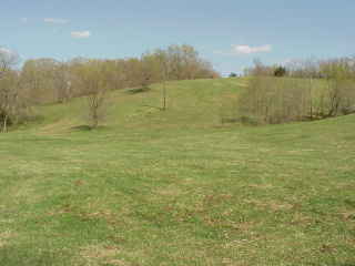 Hill after mowing.