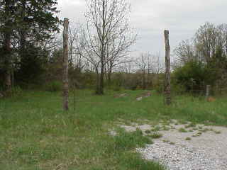 Lone cow gate.