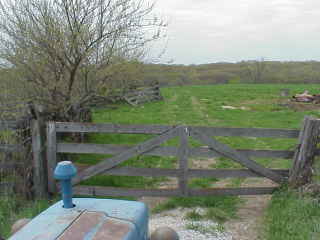 Barn remnants.