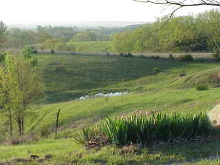 Early May front lawn.