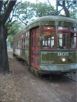 Trolley Car on St. Charles Ave..