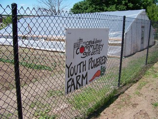 8th St Garden, Youth Powered Farm.