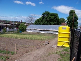 8th St Garden, Youth Powered Farm.