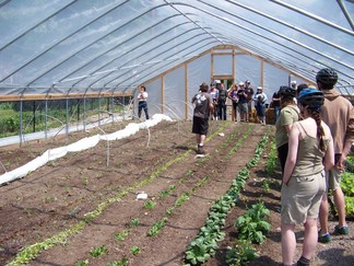 8th St Garden, Youth Powered Farm.