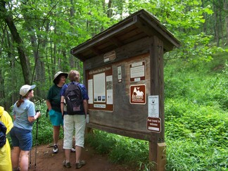 Buffalo Mountain Preserve, VA.