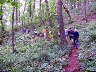 Buffalo Mountain Preserve, VA.