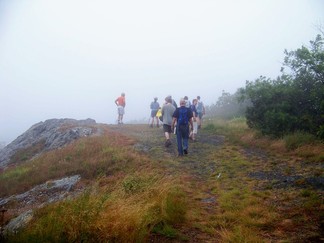 Buffalo Mountain Preserve, VA.