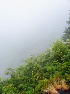 Buffalo Mountain Preserve, VA.