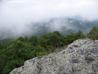 Buffalo Mountain Preserve, VA.