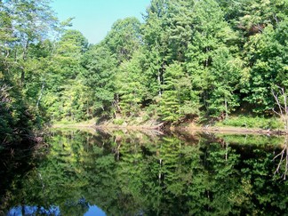 Bottom Creek Gorge Preserve, SUUSI 2010, Radford, VA.