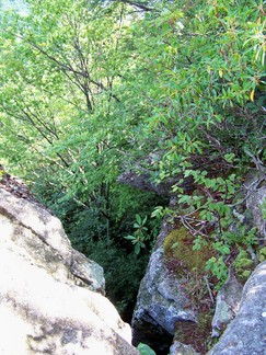 War Spur Loop, SUUSI 2010, Mountain Lake Wilderness, VA.