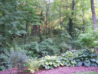 Tanger Family Gardens, Raleigh, NC.