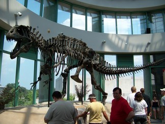 North Carolina Museum of Natural Sciences, Raleigh, NC.