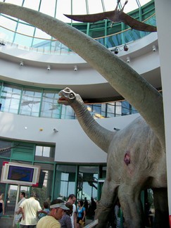 North Carolina Museum of Natural Sciences, Raleigh, NC.