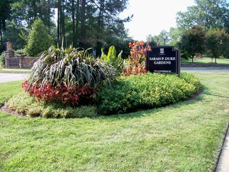 Duke Gardens, Durham, NC.