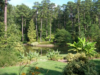Duke Gardens, Durham, NC.