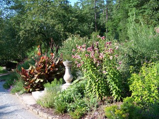 Duke Gardens, Durham, NC.