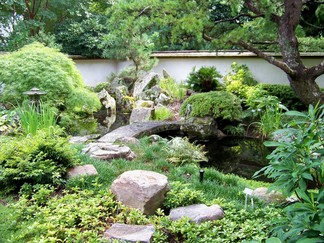 Atlanta Botanical Garden, GA.