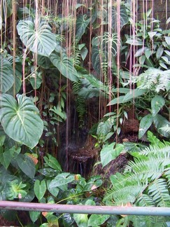Atlanta Botanical Garden, GA.