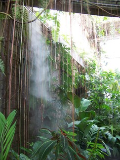 Atlanta Botanical Garden, GA.