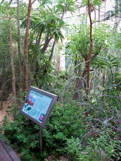 Atlanta Botanical Garden, GA.