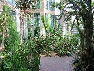 Atlanta Botanical Garden, GA.