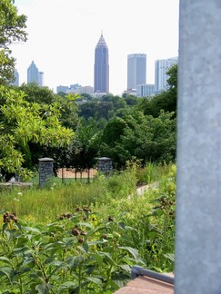 Atlanta Botanical Garden, GA.