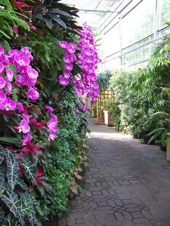Atlanta Botanical Garden, GA.
