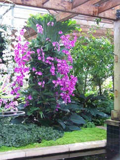 Atlanta Botanical Garden, GA.