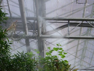 Atlanta Botanical Garden, GA.
