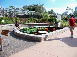 Atlanta Botanical Garden, GA.