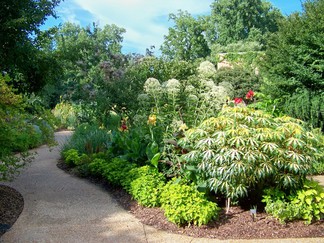 Atlanta Botanical Garden, GA.