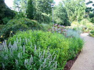 Atlanta Botanical Garden, GA.