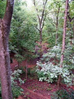Atlanta Botanical Garden, GA.