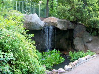 Atlanta Botanical Garden, GA.